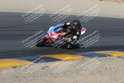 media/Feb-04-2023-SoCal Trackdays (Sat) [[8a776bf2c3]]/Turn 6 Inside (1025am)/